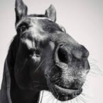 307858403_525306749595953_5212537424115292149_n