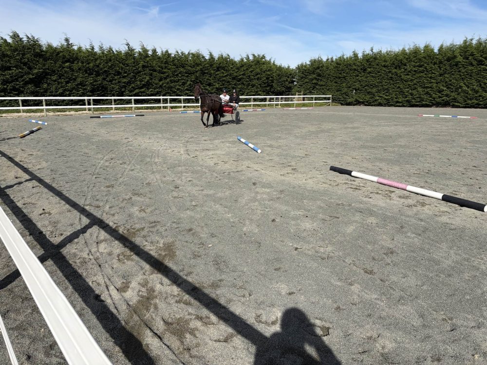 Horse riding lesson at Reigning Downs Hauora Centre outdoor arena.