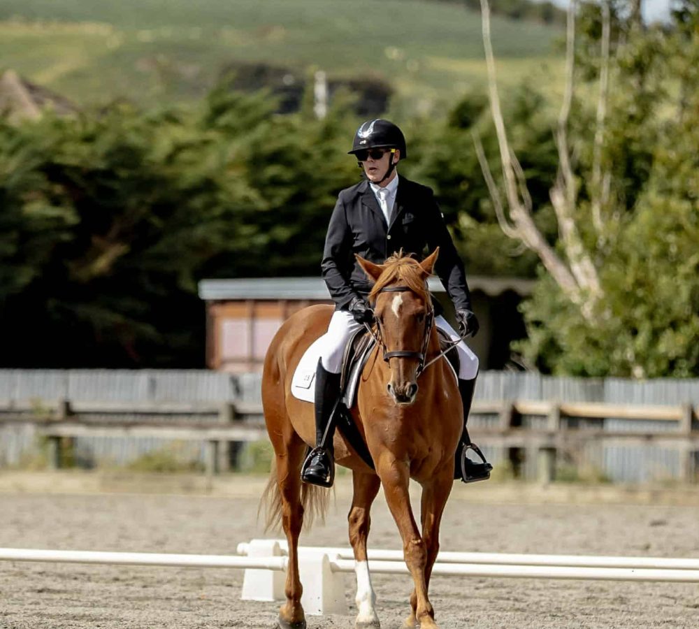 Equestrian rider on a chestnut horse during a dressage event in New Zealand.