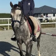 FB_IMG_1773994576038