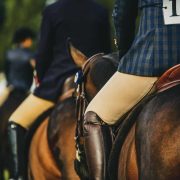 Equestrians riding horses at Reigning Downs Hauora Centre in New Zealand.