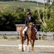 Equestrian rider on a chestnut horse during a dressage event in New Zealand.