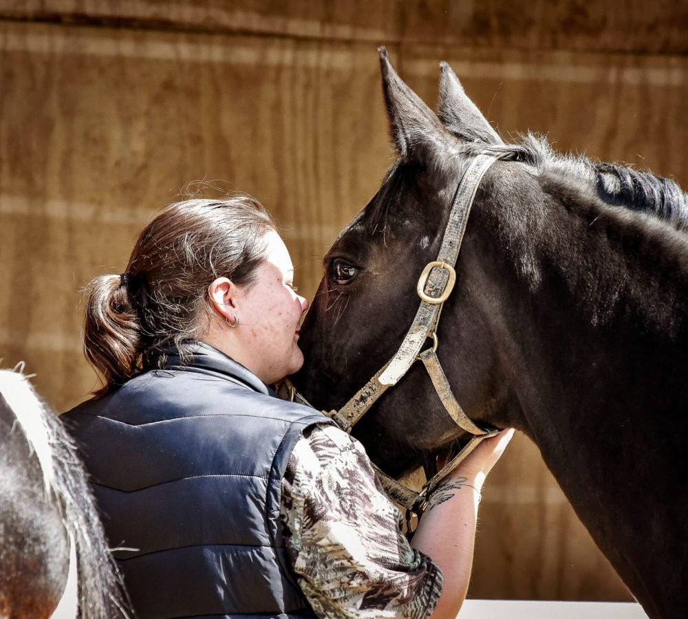 Psychotherapy Hauora