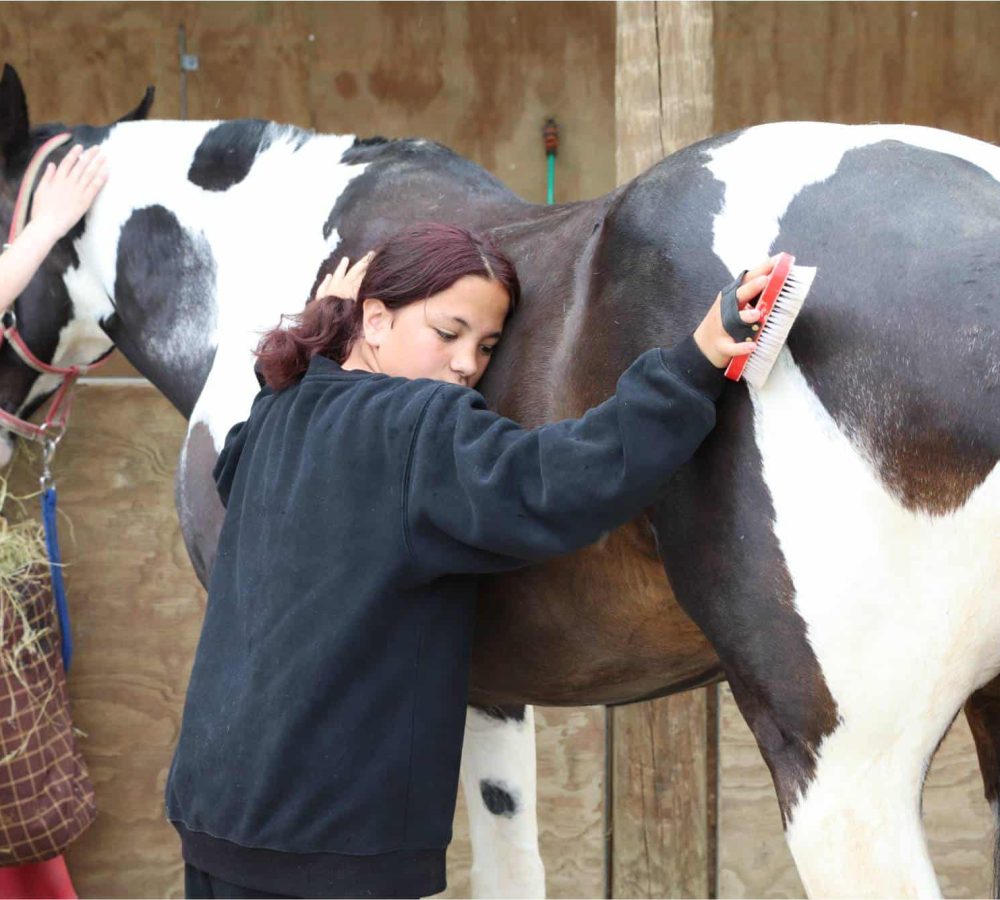 Woman brushing a horse at Reigning Downs Hauora Centre in New Zealand.